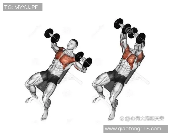 哑铃训练胸肌的有效方法与技巧分享，助你塑造完美胸部线条